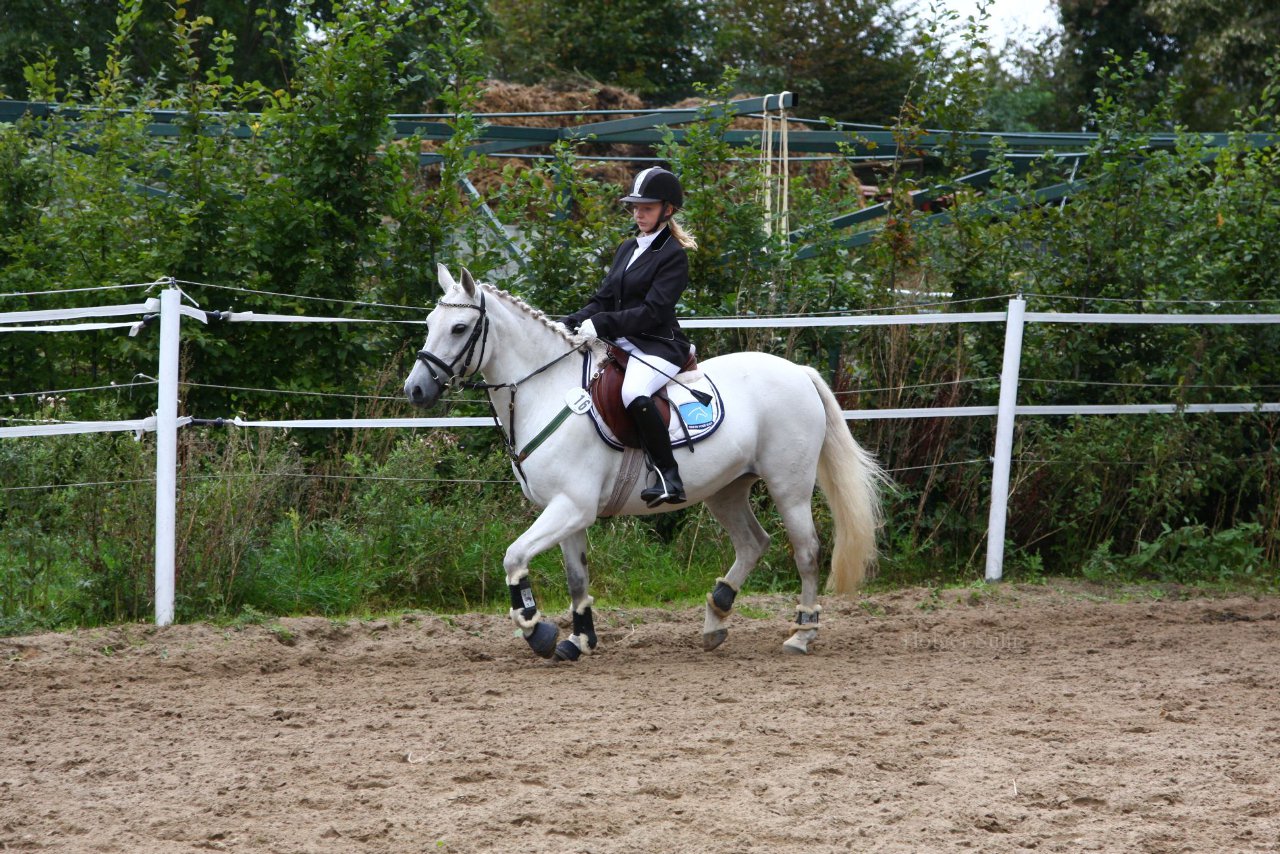 Bild 1192 - WBO-Turnier am 18.9.11